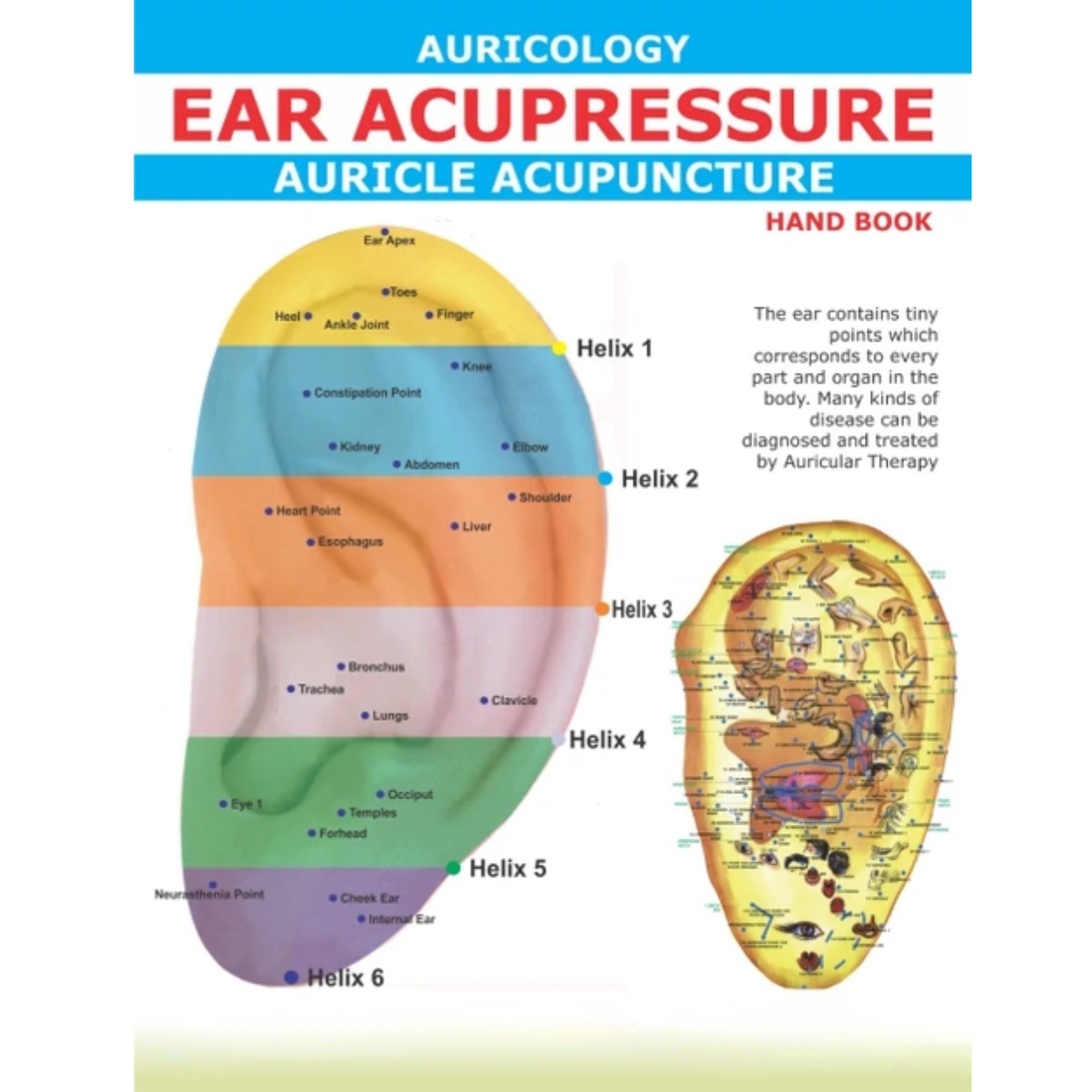 k-start-course-image